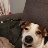 photo de profil de Valeust