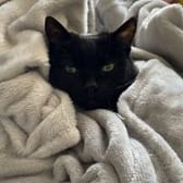 photo de profil de Cil