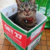 photo de profil de rebad59