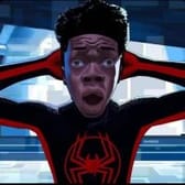 photo de profil de sp1der_fl0p