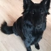 photo de profil de vincetek