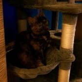 photo de profil de ESKOBAR21