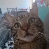 photo de profil de Rafalls_83