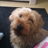 photo de profil de Laniakea