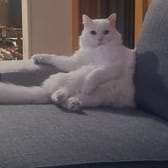photo de profil de Gimmy
