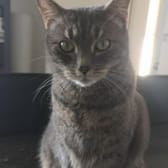 photo de profil de Siska