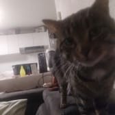 photo de profil de Billax
