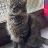 photo de profil de Loudemina