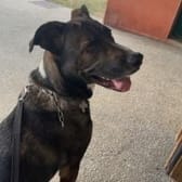 photo de profil de Deaudouce72