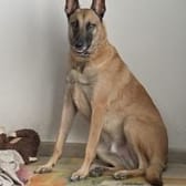 photo de profil de Cayram