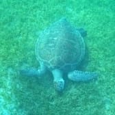 photo de profil de Floflo22