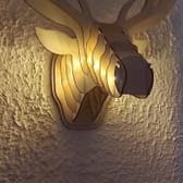 photo de profil de Galapic