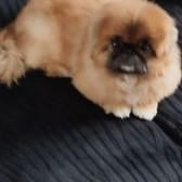 photo de profil de bosdid40