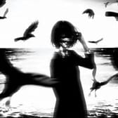 photo de profil de Kevin Vasseur689646185c0d1