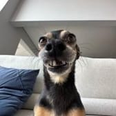 photo de profil de Jules693f03353a7a9