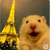 photo de profil de Gentaro