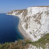 photo de profil de Goupilo