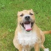 photo de profil de olivierf50