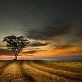 photo de profil de Philippo78390