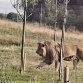 photo de profil de Aloy 13