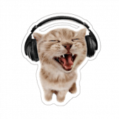 photo de profil de lolskiddo_