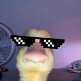 photo de profil de Juudaas