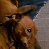 photo de profil de Jennifer Lesellier6971051376692