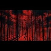 photo de profil de Tr3pasdivin