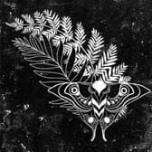 photo de profil de mily_404