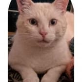 photo de profil de Toto18