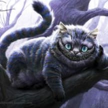 photo de profil de KASGRIN_FR