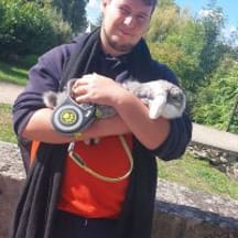 photo de profil de Misternico