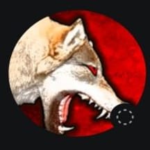 photo de profil de Darlk-dede