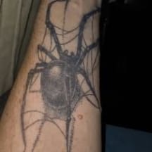 photo de profil de Tendrinet