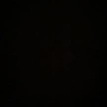 photo de profil de LaFilleDu38_