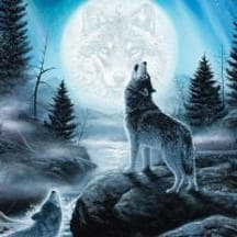 photo de profil de Valandra77124