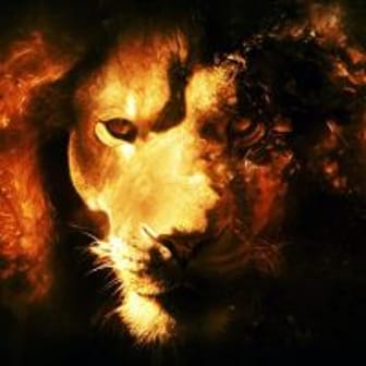 lion-normand