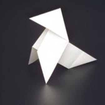 cocotte2008