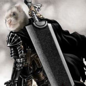 Sangui le Furet
