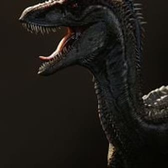 Raptor072