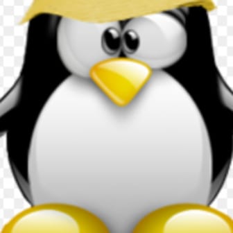 nicosdu49
