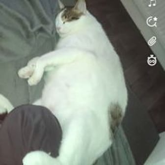 Liixouna