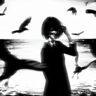 Kevin Vasseur689646185c0d1