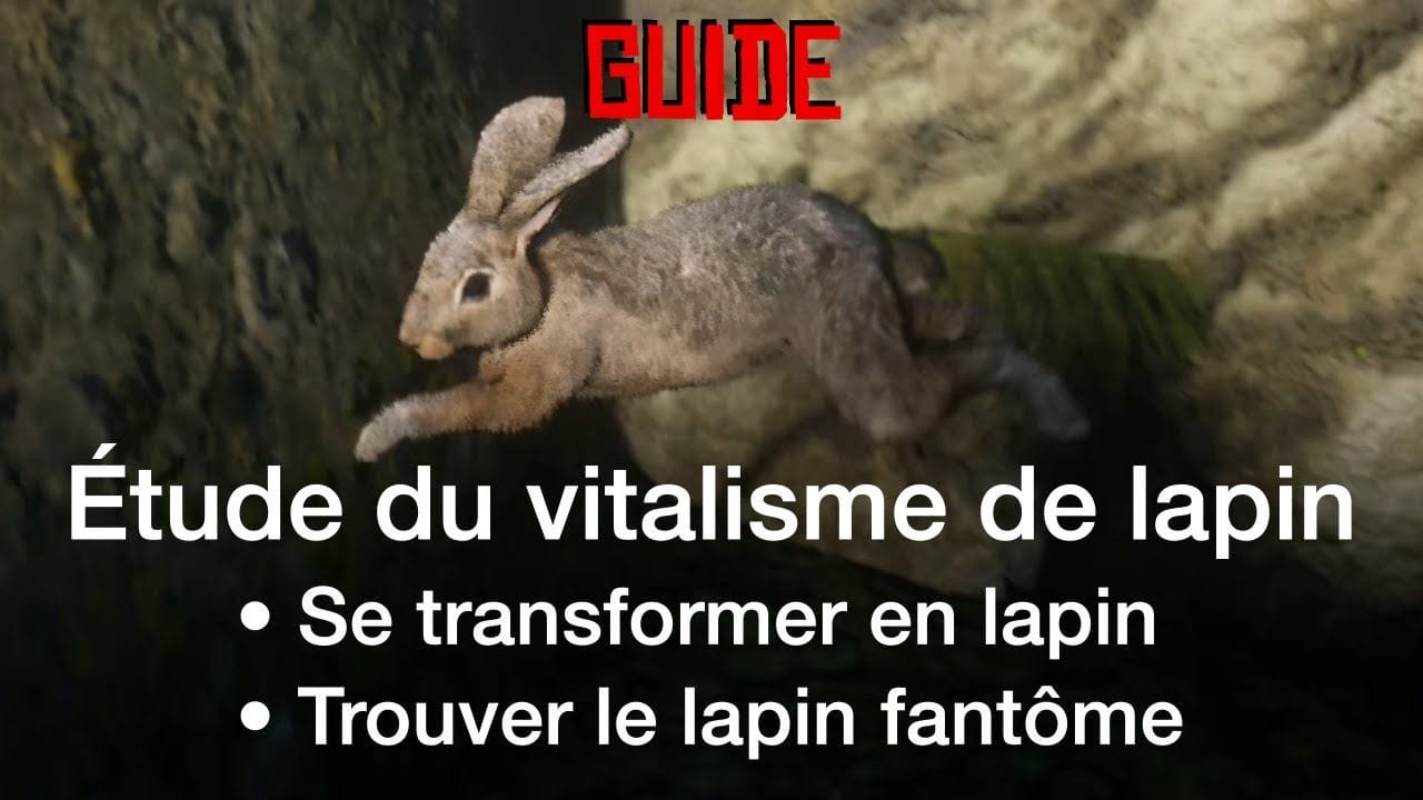 [GUIDE] Se transformer en lapin avec l'étude de vitalisme • Red Dead Online