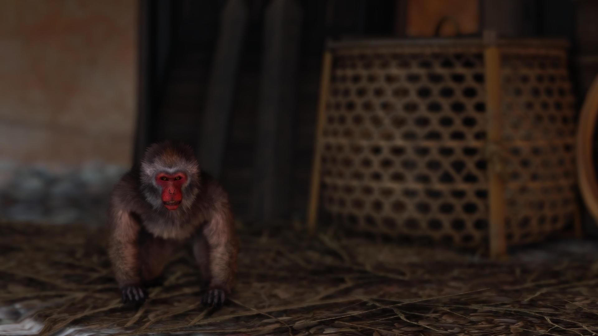 Vous allez croiser tous ces animaux mignons sur la nouvelle île de Ghost of Tsushima