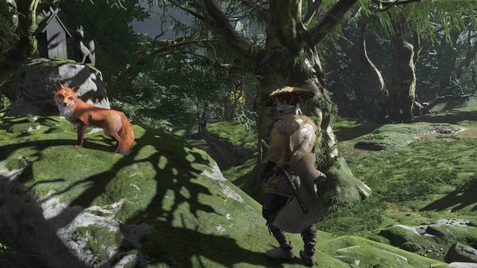 Ghost of Tsushima : la dernière mise à jour rend les renards encore plus mignon