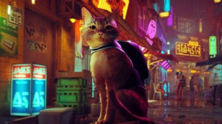 Stray : le chat-rme du jeu vidéo français fait mouche, un record pulvérisé