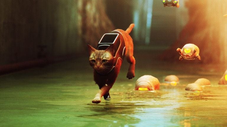 Stray : avec son jeu vidéo, l'éditeur veut aussi aider les chats dans la vraie vie