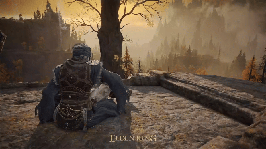 Un bref aperçu en vidéo d'une nouvelle région de Elden Ring