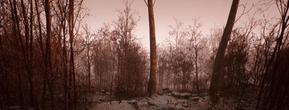 Dans trois semaines, Abandoned nous aura (encore) menti